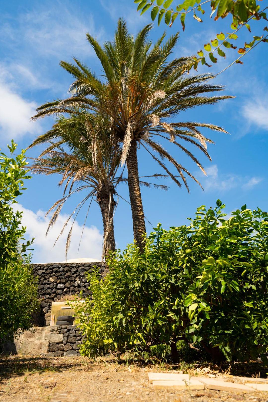 Casa Unifamiliare A Sicilia Villa Kamma Eksteriør bilde