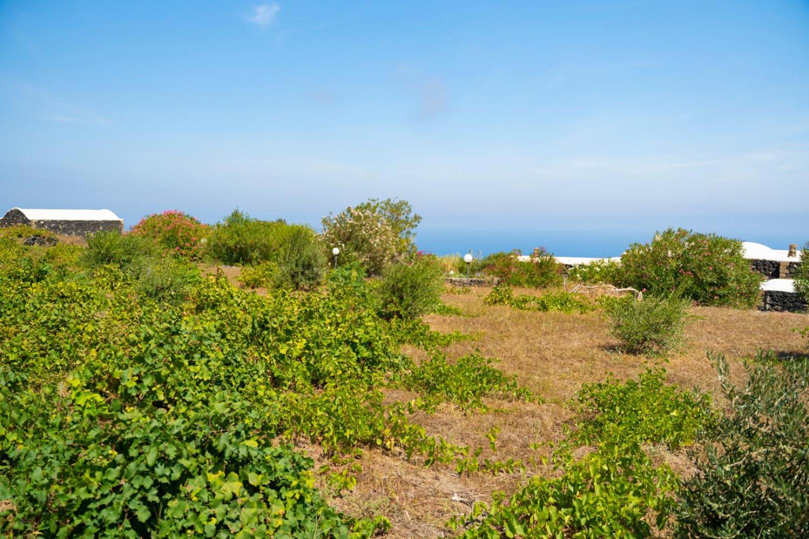 Casa Unifamiliare A Sicilia Villa Kamma Eksteriør bilde